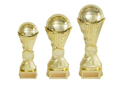 Netball trophy