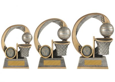 Netball trophy