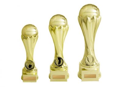Netball trophy