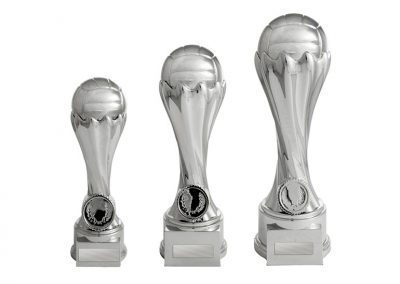 Netball trophy