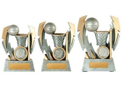 Netball trophy