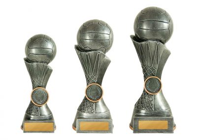 Netball trophy