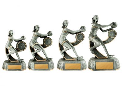 Netball trophy