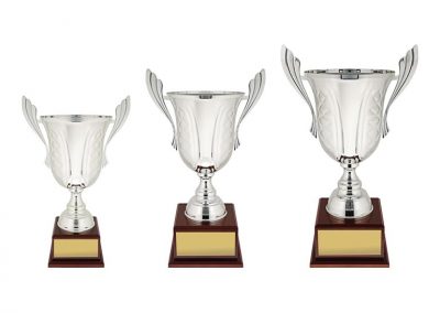 metal cups on timber bases