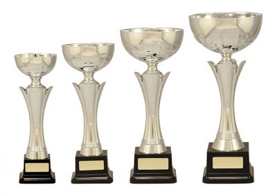 metal and plastic cups