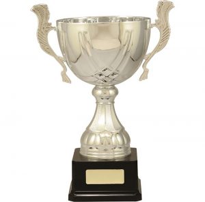 metal and plastic cup