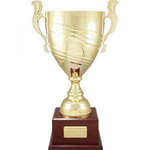 gold metal cup