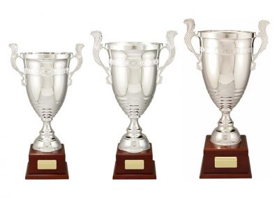 Metal cups