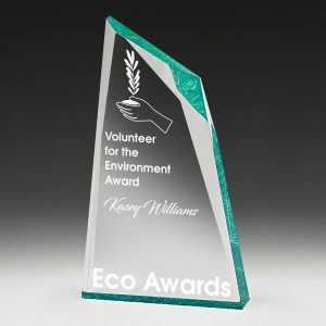 Acrylic award