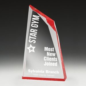 Acrylic award