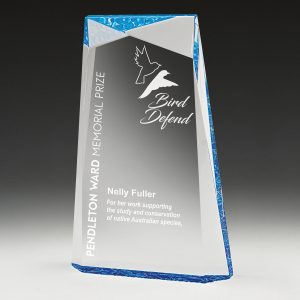 Acrylic award