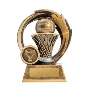 Netball trophy