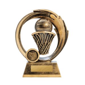 Netball trophy