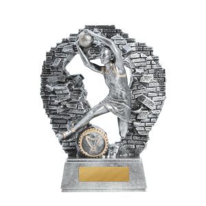 Netball trophy