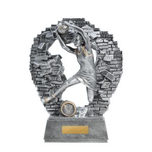 Netball trophy