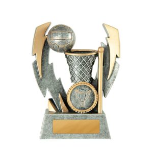 Netball trophy