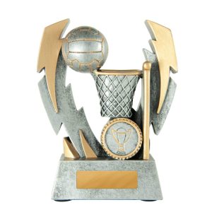 Netball trophy