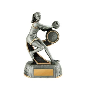 Netball trophy