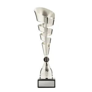 Silver cup