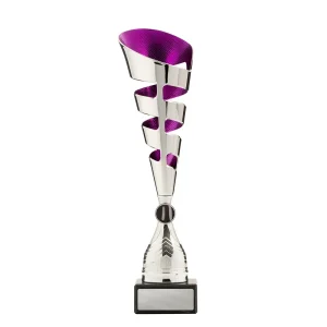 Silver and purple cup