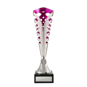 Silver and pink cup