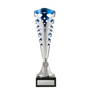 Silver and blue cup