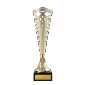 Gold and silver cup