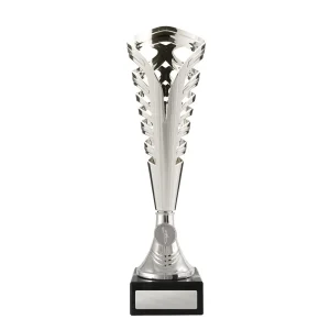 Silver cup