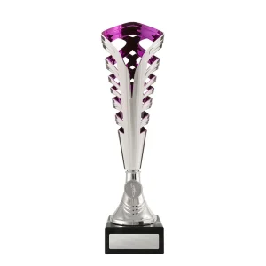 Silver and purple cup