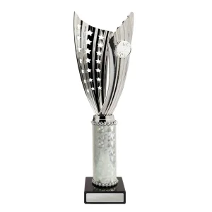 Silver cup