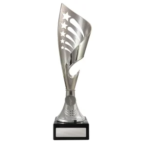 Silver cup