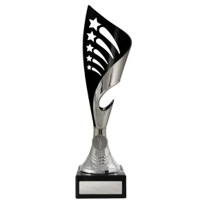 Silver and black cup