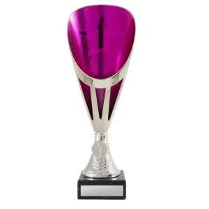 Silver and pink cup