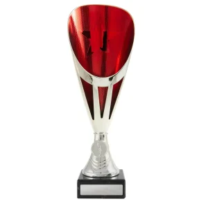 Silver and red cup