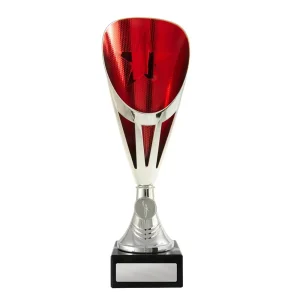 Silver and red cup