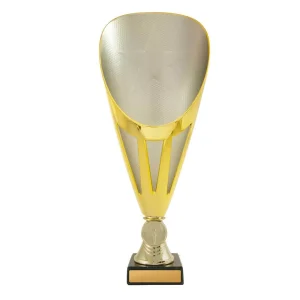 Gold and silver cup