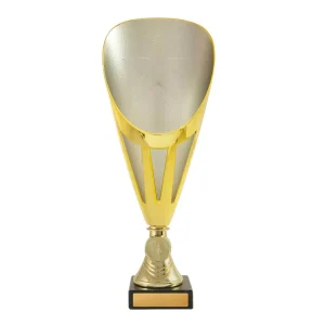 Gold and silver cup
