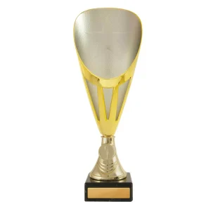 Gold and silver cup