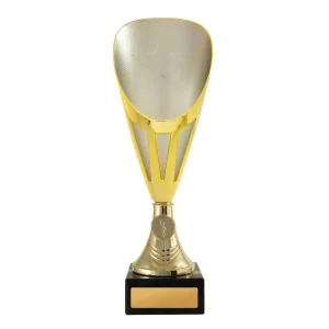 Gold and silver cup