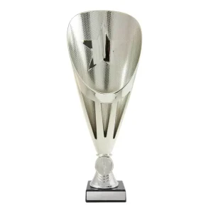 Silver cup