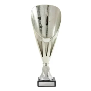 Silver cup