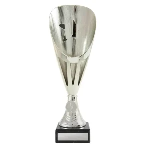 Silver cup