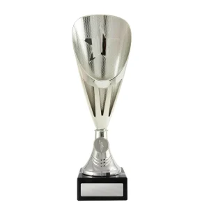 Silver cup