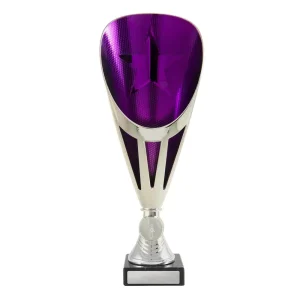 Silver and purple cup