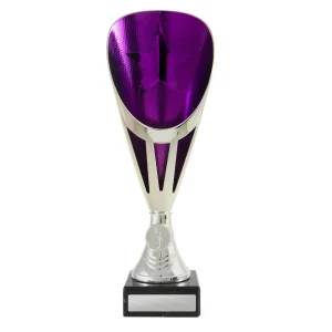 Silver and purple cup