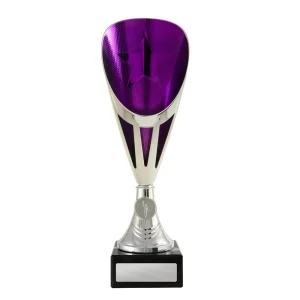 Silver and purple cup