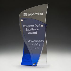 Blue and clear acrylic award