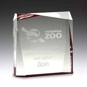 Acrylic prism award with red highlight
