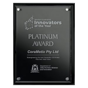 Black acrylic award