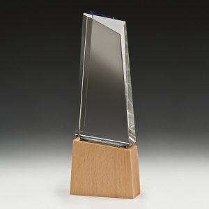 Crystal and timber award